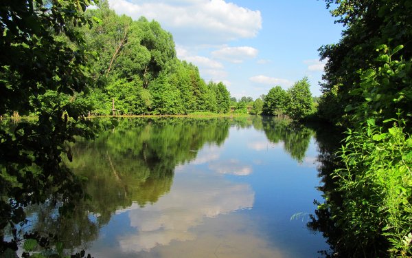 Лес да река