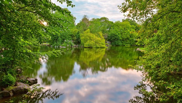 Пейзаж с рекой