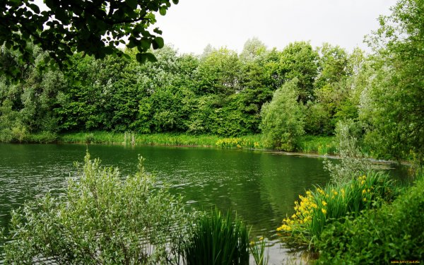 Природа река