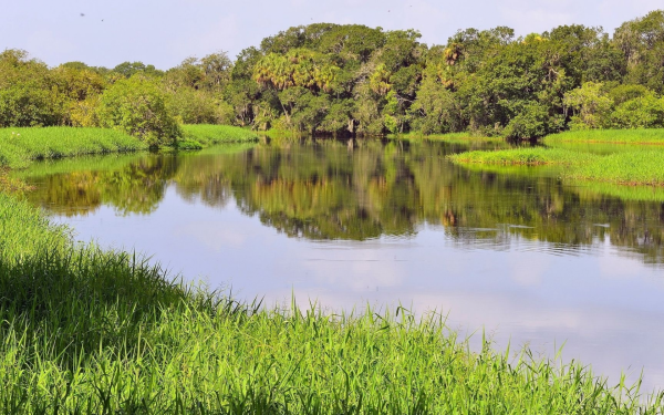 Парк Филатов луг