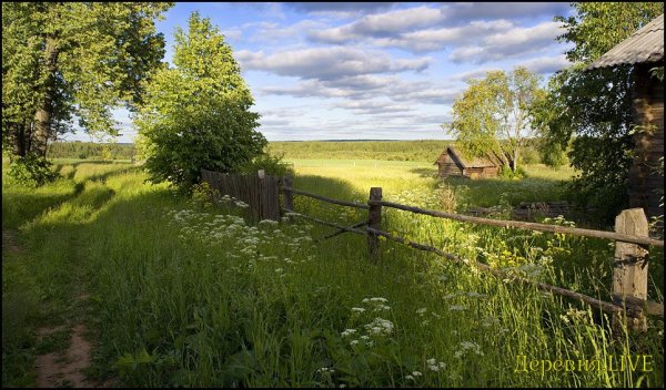 Русская деревня глубинка лето