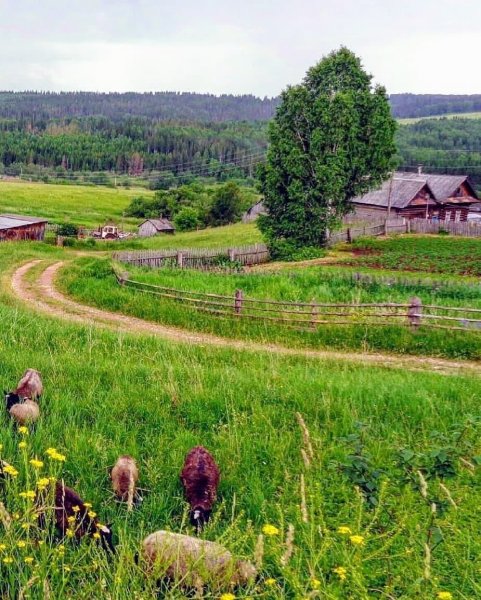 Деревня Васильевское Пермский край