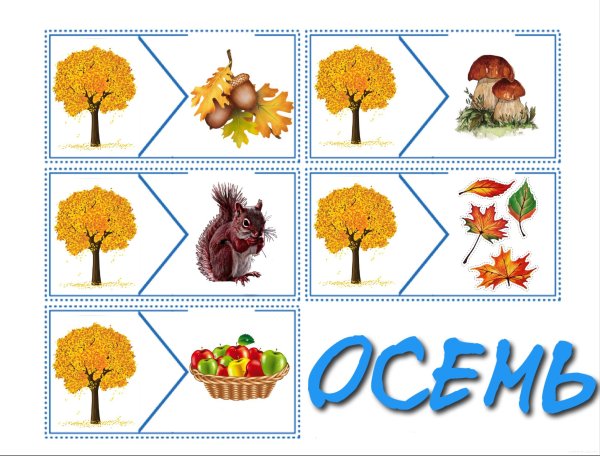 Летние занятия для дошкольников