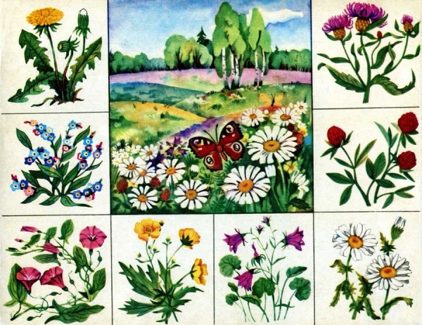 Наглядности для детского сада