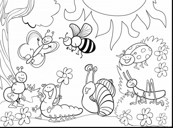 Раскраски лето для детей 3-4 лет