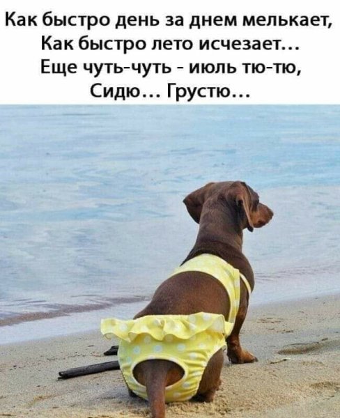 Лето скоро закончится