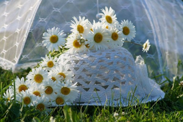 Божья красота