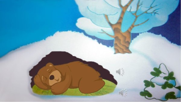 Бурый медведь спит в берлоге