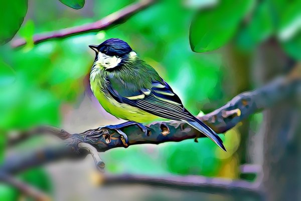 Зеленоспинная синица