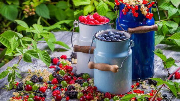 Ягоды летом