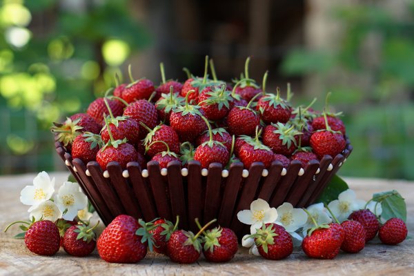 Ромашки и земляника