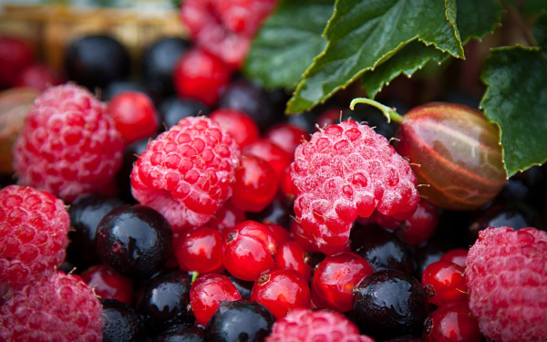 Цветок малины