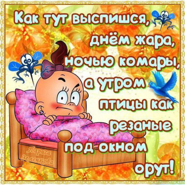 Открытки с летом прикольные