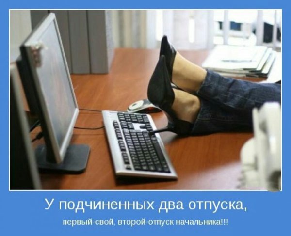 Огород для детей