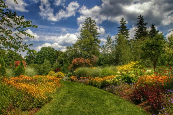 Весенний пейзаж