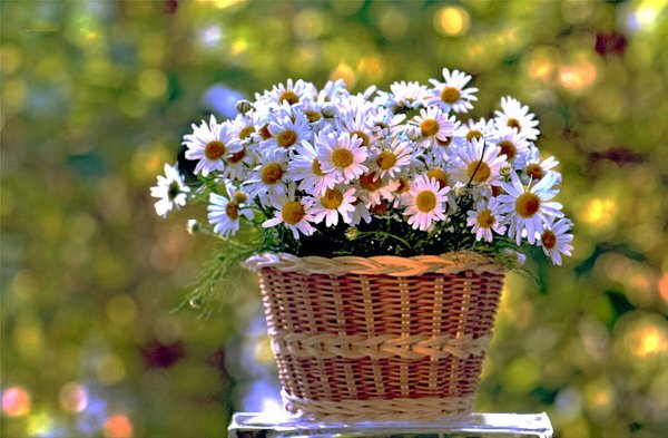 Отличного солнечного настроения