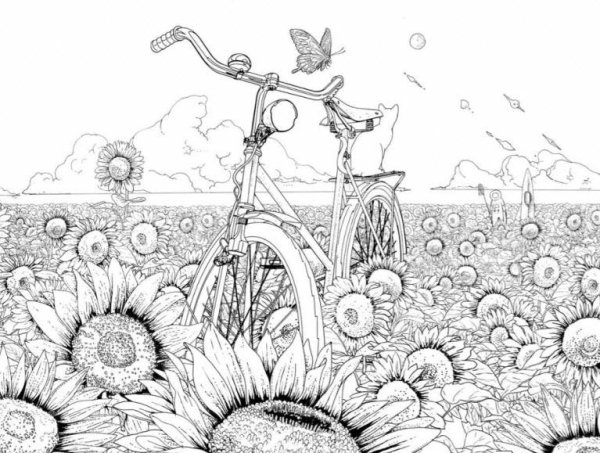 Летние раскраски для взрослых