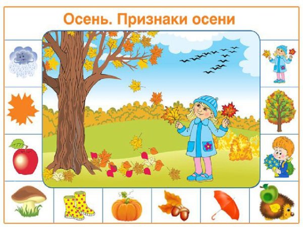 Признаки осени для детей