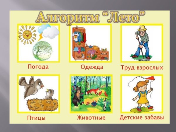 Алгоритм лето для детского сада