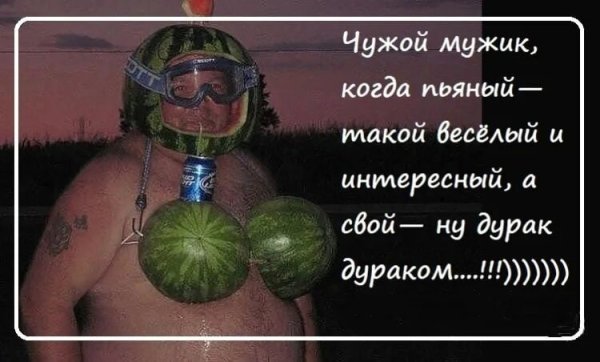 Приколы про дураков