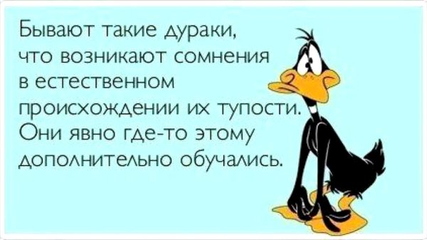 Цитаты про дураков