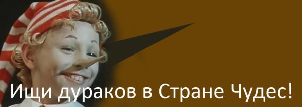 Ищите дураков в стране чудес