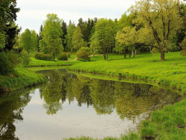 Лето парк Томск