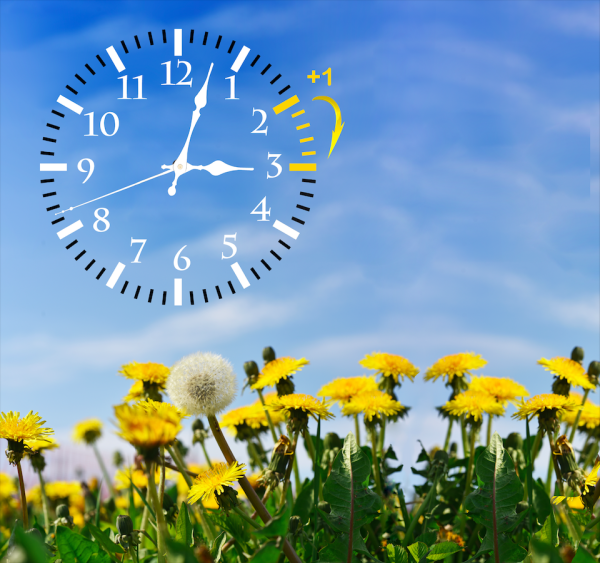 Летнее время картинки