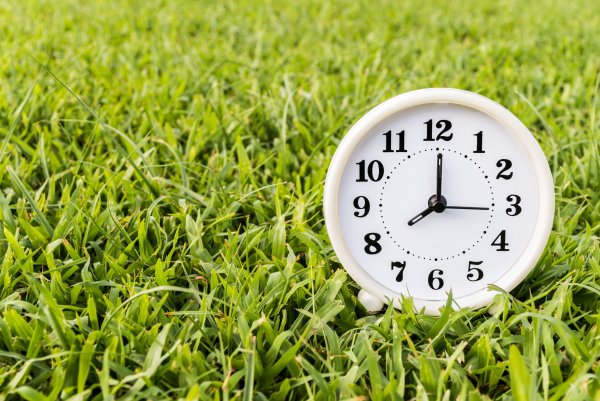 Часы на земле