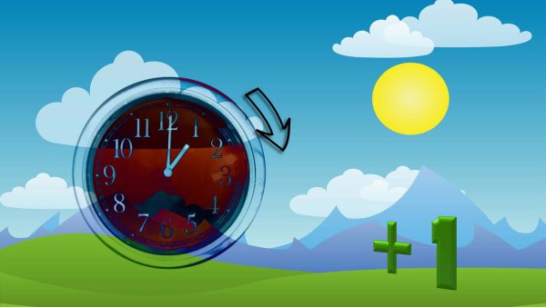 Цветочные часы