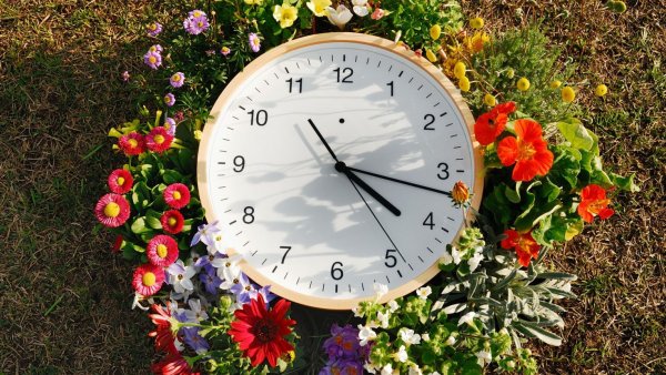 Раннее бронирование лето