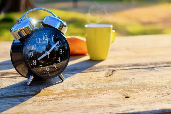 Часы наручные природа