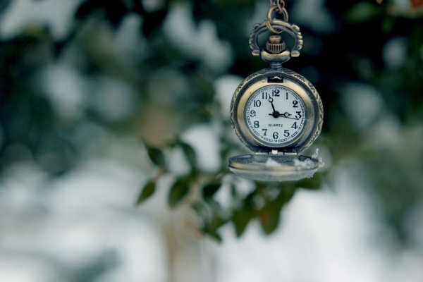 Экологический будильник пора спасти лес