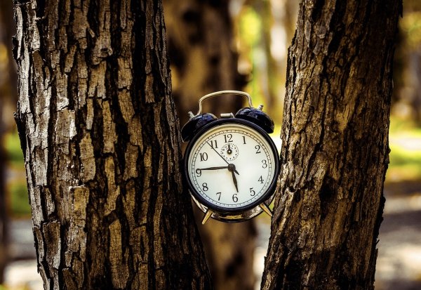 Открытки с будильником