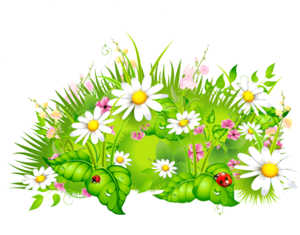 Поляна цветов для детей