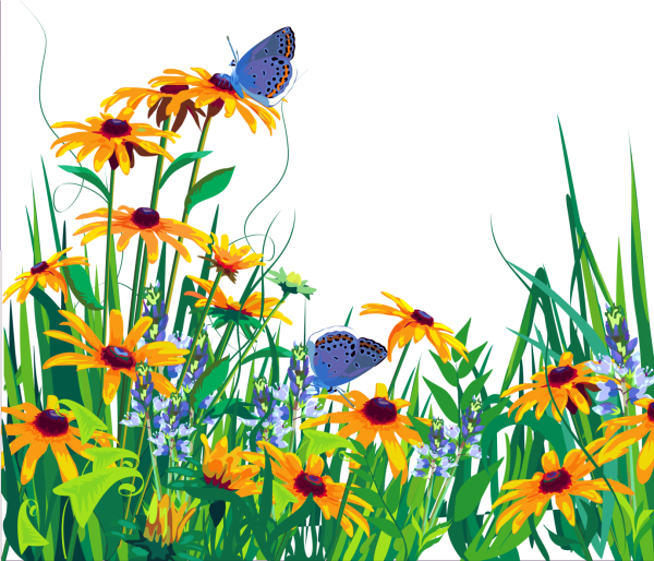 Лето на прозрачном фоне