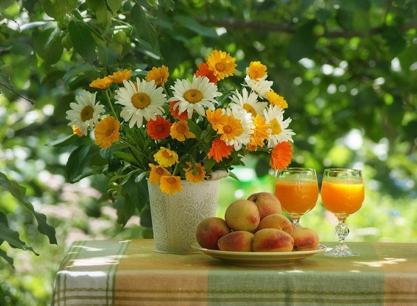 Доброе утро природа