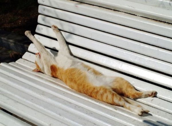 Лето закончилось