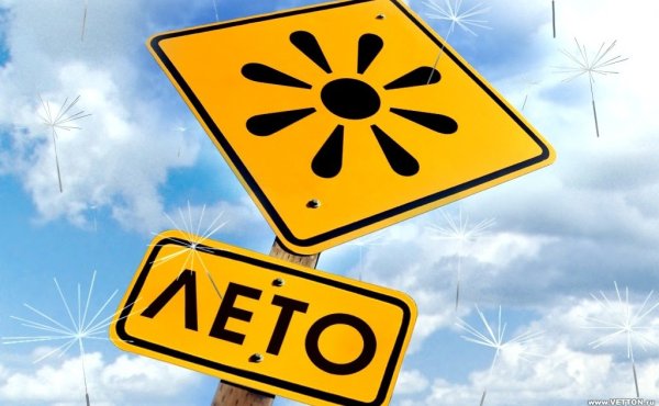 Наконец лето