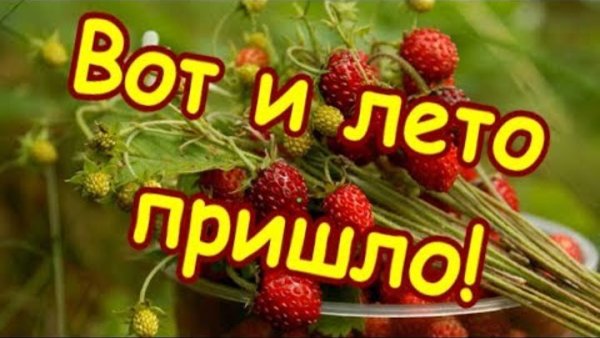 Лето наконец пришло