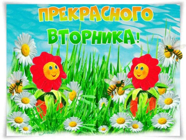 Позитивные открытки на каждый день