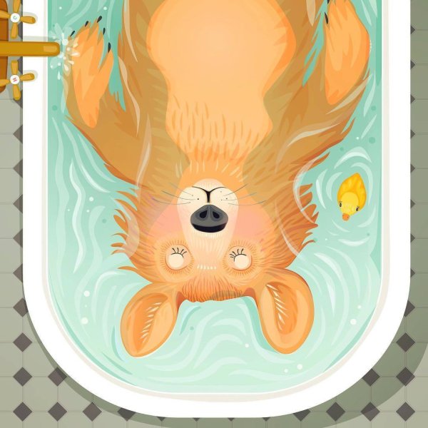 Счастливый кот