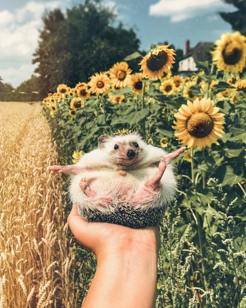 Открытки Веселые и добрые