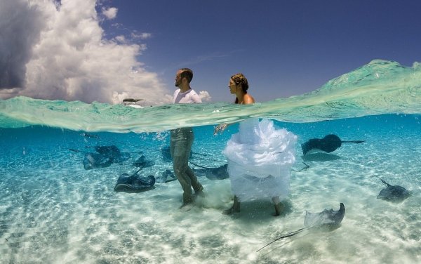 Необычные впечатления