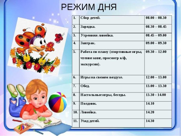 Распорядок дня