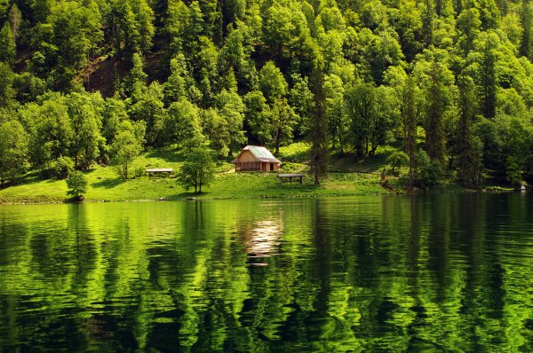 Фахверк Швейцария горы озеро лес лето