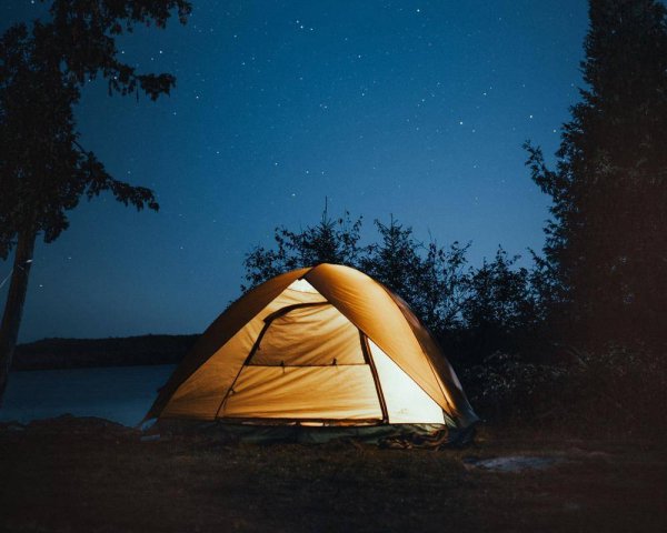 Палатка туристическая в лесу