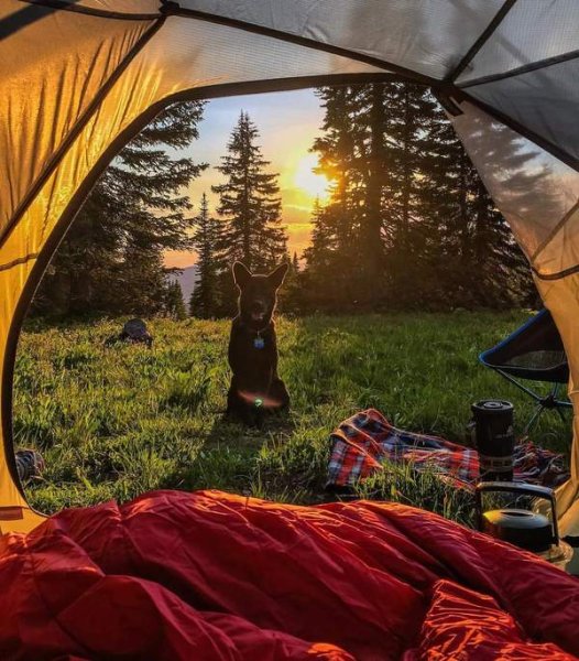 Поход с палатками