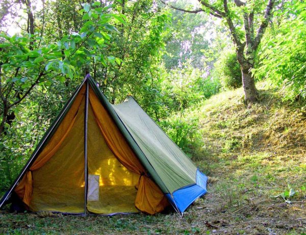 Поход с семьей с палатками