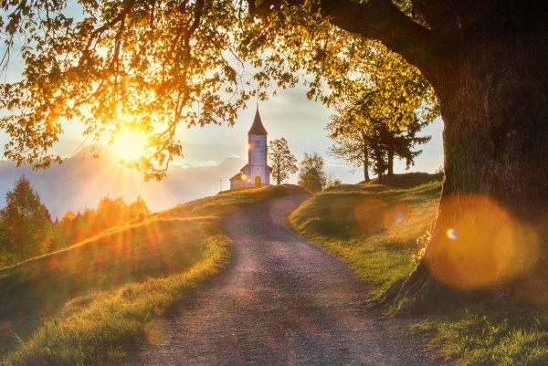 Церковь Покрова на Нерли Радуга
